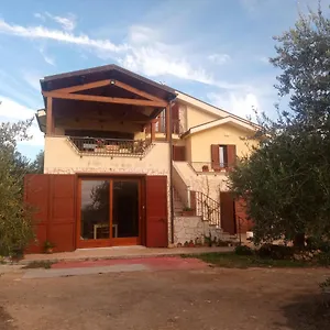 Degli Ulivi Ossi